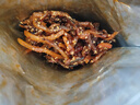 每果時光香辣鰻魚絲即食下酒菜小魚仔海味零食肉干肉脯小吃休閑食品 【香辣鰻魚絲·半斤】250克*1包 曬單實拍圖