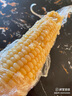 張小壯 水果玉米 現(xiàn)摘新鮮 云南甜玉米 新鮮玉米棒 可生吃新鮮蔬菜 精選9斤8-14個(gè) 曬單實(shí)拍圖
