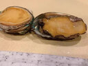 鮑魚(yú)鮮活特大冷凍鮑魚(yú)生鮮大鮑魚(yú)500g   燒烤火鍋原材料海鮮生鮮 巨無(wú)霸鮑魚(yú)6粒裝[98％人選擇] 一斤一袋家庭裝 曬單實(shí)拍圖
