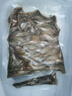 云映漁舟微山湖新鮮山根魚(yú)活魚(yú)速凍小黃魚(yú)山坑魚(yú)趴地虎沙里爬小河魚(yú)小雜魚(yú) 山根魚(yú)-沙里趴魚(yú) 2斤（1斤1袋） 曬單實(shí)拍圖
