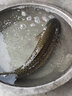 鱘海 前打竿不剪線28調(diào)定位魚竿素超輕硬前打竿釣魚竿手竿 5.4m 28調(diào)單竿（不帶輪） 曬單實(shí)拍圖