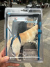 高齡狗狗老犬步行輔助帶狗狗后腿肢關(guān)節保護帶受傷殘疾犬助力背帶后腿受傷保護狗狗助行帶上車(chē)上Dog樓用 藍色（母狗公狗通用雙腿款） XL 曬單實(shí)拍圖