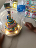 樂高（LEGO）生日蛋糕40382 男孩女孩拼搭積木玩具兒童生日禮物創(chuàng)意擺件 生日蛋糕+圓形罩 曬單實(shí)拍圖