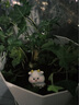 集物一冊微景觀十二生肖樹脂擺件鼠牛虎兔龍蛇馬羊猴雞狗豬小擺件生日禮物 彩色一套/12個（布袋裝） 12生肖小擺件生日兒童節(jié)禮物 曬單實拍圖