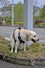 尼康（Nikon） 尼克爾AF-S 50mm f/1.8G單反相機(jī)標(biāo)準(zhǔn)定焦人像鏡頭 大光圈虛化 配國(guó)產(chǎn)58UV+星光鏡 曬單實(shí)拍圖