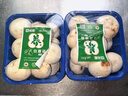 綠食者新鮮口蘑約250g/盒 蘑菇小白菇食用菌菇白蘑菇 口菇 雙孢菇 滿(mǎn)5件 2盒 曬單實(shí)拍圖