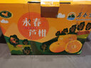 萬(wàn)春寨福建永春正宗蘆柑精品大果10斤禮盒裝原產(chǎn)地新鮮水果橘子丑桔柑桔 【精品大果】果徑80mm帶箱10斤裝 曬單實(shí)拍圖