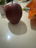 優(yōu)味集【順豐JD】花牛蘋(píng)果新鮮紅蛇脆粉沙糯果甘肅天水寶寶輔食孕婦水果 2.8斤凈重裝（商超精選） 商超級(jí)金果150g+ 曬單實(shí)拍圖