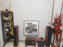 尊寶Jamo/尊寶 C910 有源低音炮音箱家庭影院音響10吋家用大功率低音 C910 暗蘋(píng)果色 曬單實(shí)拍圖