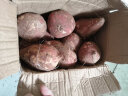 静益乐源商薯红薯 白心红薯 板栗红薯 农家地瓜 新鲜蔬菜 2.5kg 中大果 实拍图