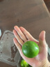 果齋園 新鮮無籽青檸檬  新鮮青檸 泡水奶茶店專用 皮薄多汁 1斤裝  發(fā)圓通 曬單實拍圖
