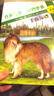 傳世今典·動(dòng)物小說(shuō)：王者拉德+義犬情深+雪地狂奔+邁克傳奇（套裝共4冊） 曬單實(shí)拍圖