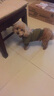 NINKIN狗狗衣服加厚秋冬裝法斗泰迪比熊柯基柴犬小型犬寵物衣服衛衣棉衣 軍綠飛虎隊 S-建議7-10斤穿 曬單實(shí)拍圖