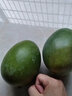海南小臺農(nóng)芒果新鮮現(xiàn)摘小臺芒應(yīng)當(dāng)季熱帶水果特產(chǎn)甜心熟芒果 9斤嚴(yán)選裝JD快遞 【小果】爆甜多汁 曬單實拍圖