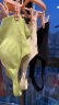 暴走的萝莉跑步瑜伽健身服美背防震文胸 LLWX02948 浅绿光色 S 实拍图