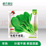 壽禾 20天雞毛菜種子四季小青菜秋冬季蔬菜小白菜油菜上海青陽臺菜籽 長菘不老菜雞毛菜種子約3千粒 曬單實拍圖