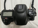 尼康/NikonD5 D6 d5 d6高品質(zhì)二手全畫幅相機專業(yè)發(fā)燒單反機身高端機高速連拍新聞體育相機 尼康D5(XQD版) 99新 曬單實拍圖