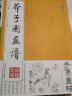 芥子园画谱 白话文版无删减芥子园画传王概著巢勋临本国画临摹画册花鸟画谱工笔画技法写意画入门工具教程书 实拍图