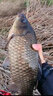 颶利強 pe線(xiàn)水滴輪中國紅大力馬魚(yú)線(xiàn)子線(xiàn)釣魚(yú)線(xiàn)PE主線(xiàn)路亞線(xiàn)海釣漁線(xiàn)不炸線(xiàn)順滑 釣翹嘴鱤魚(yú)黑魚(yú) 路亞Pe線(xiàn)【紅色8編100米】3.0號 曬單實(shí)拍圖