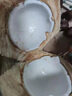 沐小七果蔬泰國(guó)椰青進(jìn)口椰子新鮮當(dāng)季熱帶水果孕婦香水椰子去皮整箱 【單果重900g+】9個(gè)裝 曬單實(shí)拍圖
