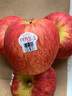 朵貝仙新西蘭進(jìn)口愛(ài)妃蘋(píng)果高檔當季新鮮水果節日禮盒脆甜多汁 1530g 單果190-240g+ 9粒高檔禮盒 曬單實(shí)拍圖