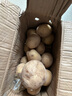 恩施小土豆新鮮馬鈴薯農(nóng)家黃心洋芋現(xiàn)挖蔬菜馬鈴薯 5斤 中果 雞蛋大小左右 曬單實拍圖