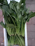 食藝鮮（SHIYIXIAN）新鮮菠菜火鍋炒菜食材新鮮時(shí)令蔬菜農(nóng)家自種蔬菜 500g 曬單實(shí)拍圖