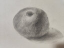 零基礎(chǔ)素描入門教程 曬單實拍圖