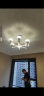 雷士（NVC）美式轻奢现代客厅灯灯臂发光具吊灯无极调光6头灯饰WHDD60F/G-02 实拍图