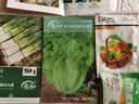 壽禾 紫紅皮洋蔥種子圓蔥早熟四季播秋冬季蔬菜蔥壽光蔬菜種孑菜籽 中領(lǐng)3504洋蔥種子 5g裝 曬單實(shí)拍圖