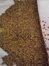 綠中城四季牧草種子黑麥草種籽玉米草甜高粱紫苜蓿豬牛羊兔魚(yú)草種籽 紫云英凈子一斤 一斤 曬單實(shí)拍圖