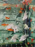 海童（KAIDO）錦鯉飼料魚食金魚專用魚飼料蝴蝶鯉魚糧增色增艷增體增肥上浮魚糧 色揚2#500g(適合5-10cm錦鯉) 曬單實拍圖