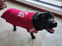 Lanswood 狗狗衣服拉布拉多金毛大型犬小型犬泰迪柯基柴犬狗衣服中大型犬 紅衣-中國年獸 10X建議100斤左右 曬單實(shí)拍圖