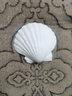 藍海精靈天然超大貝殼 獅爪貝 白色大貝殼地中海風(fēng)格酒吧柜臺裝飾道具魚(yú)缸 凹型 白色大扇貝8-10cm 曬單實(shí)拍圖