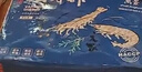萬(wàn)景 北海鮮凍白蝦 國產(chǎn)白蝦 單凍無(wú)冰凈重4斤 100-120只 中秋聚餐  曬單實(shí)拍圖