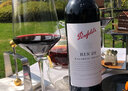 奔富（Penfolds）澳大利亞原瓶進(jìn)口 bin系列設拉子赤霞珠干紅葡萄酒750ml BIN28 整箱6支裝 曬單實(shí)拍圖