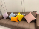 沁汐靠枕天鵝絨輕奢超柔ins靠墊套簡(jiǎn)約大靠背墊客廳絲絨純色沙發(fā)抱枕 愛(ài)馬仕橙 30cm*50cm 含枕芯 【長(cháng)方形】 曬單實(shí)拍圖
