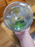 樂基因（nalgene）戶外運(yùn)動(dòng)水杯塑料騎行隨手杯子男女學(xué)生大容量便攜直飲美國(guó)進(jìn)口 5565-4024透明瑩彩綠 650ml 曬單實(shí)拍圖