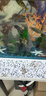 寶貝故事（BABY STORY）魚缸造景石頭 水晶石玻璃珠藍(lán)色腰果石水族造景石底部砂石頭 玻璃天藍(lán) 50粒 曬單實(shí)拍圖
