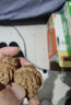 彩荷文玩核桃小白獅子淶水核桃手把件古玩麻核桃 曬單實(shí)拍圖