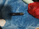 佩耶巴（PAYERBACH） 胡蘿卜素變色口紅不易沾杯不易掉色變色唇膏保濕滋潤補水防干裂 胡蘿卜兩支裝 曬單實拍圖