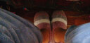 惠夫人 冬季棉拖鞋男士简约半包跟室内家居地板防滑软底情侣大码保暖鞋 细格子全包 栗紫 40-41码/适合39-40码穿 实拍图