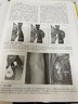 D現貨 肌肉骨骼系統超聲醫學(xué)（修訂版）河南科學(xué)技術(shù)出版社 9787572505133 曬單實(shí)拍圖