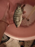 漁班竹（yubanzhu） 漁班竹翻板鉤套裝有倒刺魚(yú)鉤防掛底盤鉤爆炸鉤拋竿釣魚(yú)配件八爪夾餅釣魚(yú)鉤子 針款24鉤+40g鉛墜（3套裝）送翻板盒（6層） 10號(hào) 曬單實(shí)拍圖