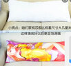 蔓爾思特 升級等身抱枕枕芯 高彈PP棉 羽絨棉枕芯純棉 長條雙人長枕芯 50*160 60*180 重磅羽絨棉枕芯 加重升級純棉枕皮 50*160CM 曬單實拍圖