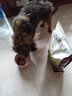 迪邁牛肉雙拼狗糧5斤 泰迪金毛中小型幼成犬10通用型牛肉粒主糧2.5kg 曬單實拍圖