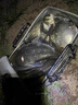 川澤袖鉤路滑專用魚鉤跑鉛子線雙鉤成品防纏繞魚線自動找底免調(diào)漂魚鉤 金海夕鉤9【線1.5-2.0】 跑鉛雙鉤10付/盒 曬單實拍圖