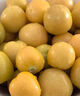 京配嘉果東北姑娘果黃菇娘果當季水果甜燈籠果菇鳥(niǎo)兒應季黃金豆水果禮盒 1斤精選裝（無(wú)禮盒） 曬單實(shí)拍圖