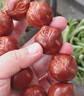 贏夫人（Mrs win）老油核大籽橄欖核雕刻壽星公手把件手串大印尼巴西文玩手球男手鏈 橄欖核雕刻祝壽公32mm左右 B03-202 曬單實(shí)拍圖