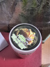 LISM角蛙糧樹(shù)蛙飼料蛙糧霸王黃金角蛙蛙糧顆粒糧食寵物兩棲爬寵飼料 角蛙成體飼料(45g裝) 曬單實(shí)拍圖